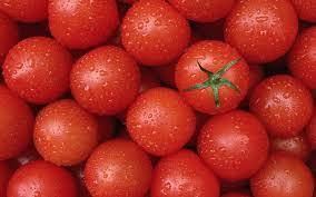 the tomatoes potency